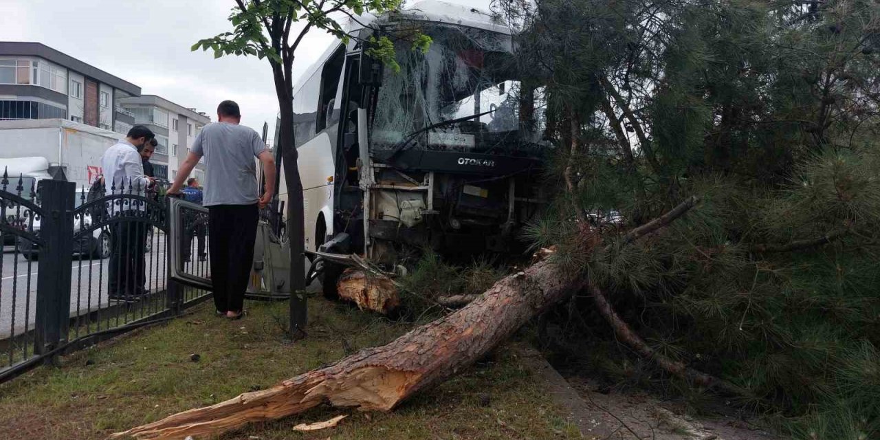 Samsun’da 9 kişinin yaralandığı işçi servisi kazasında polis, yaralı karga yavrusuna da hastaneye götürdü