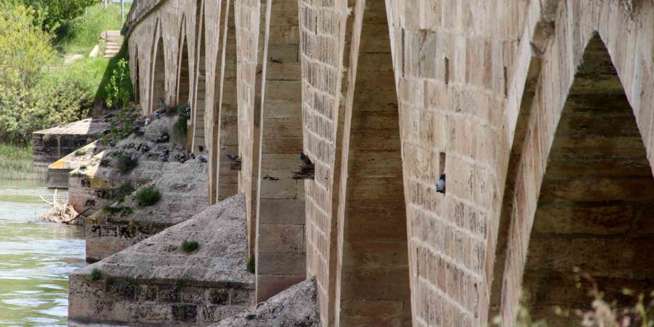 Tarihi köprü adeta kuşlara yuva oldu