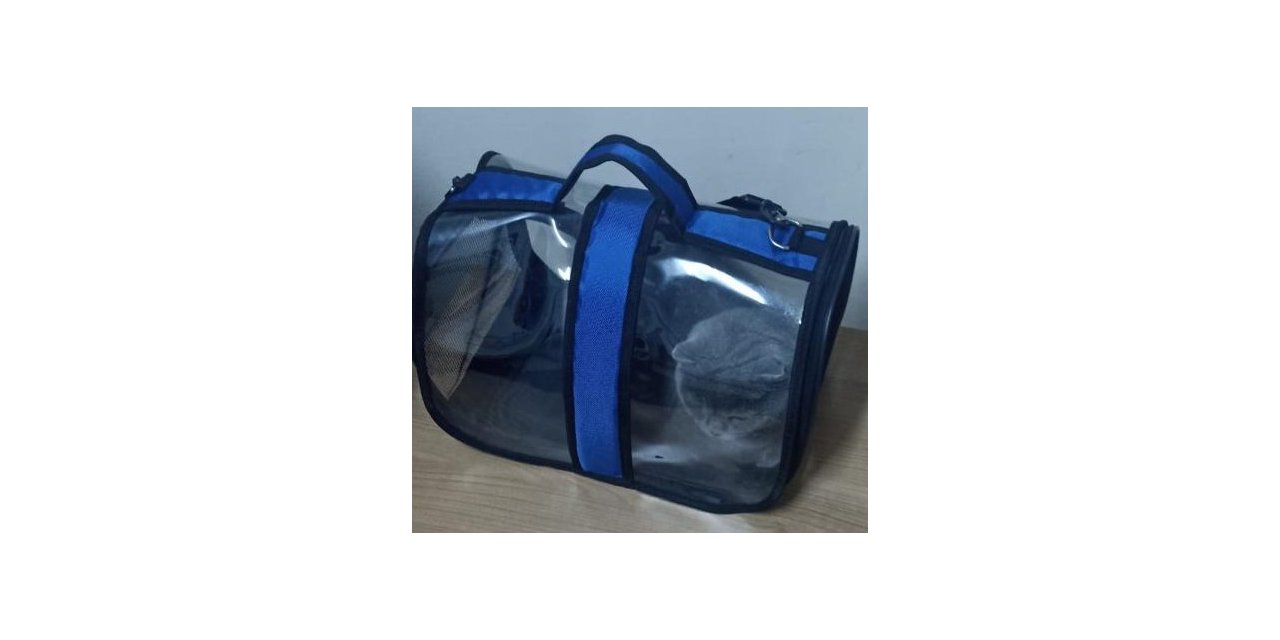 Isparta’da çalınan 2 köpek ve 1 kedi HAYDİ ekipleri tarafından bulundu