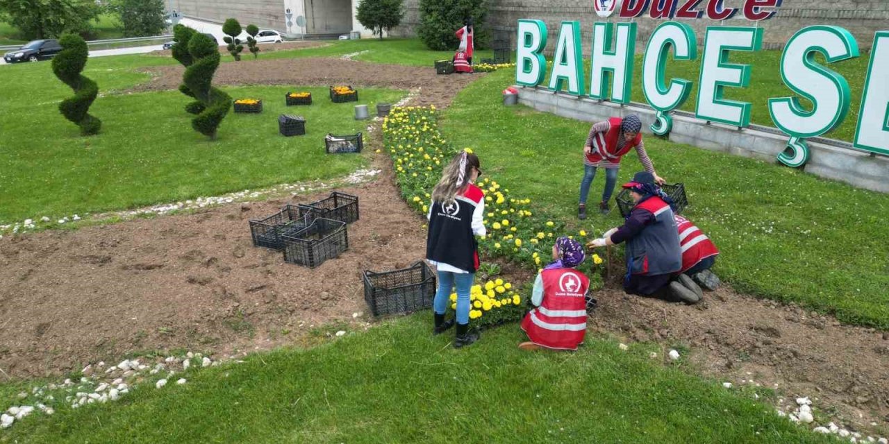 Rengarenk çiçekler toprakla buluştu