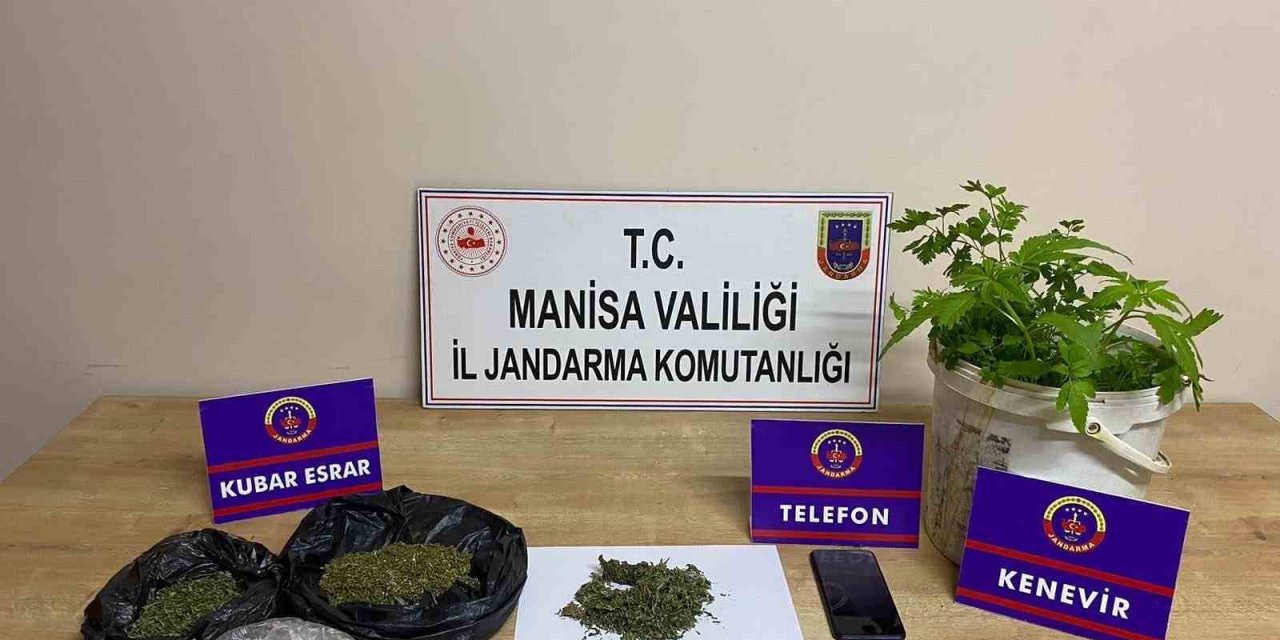 Manisa jandarmasından 389 uyuşturucu operasyonu