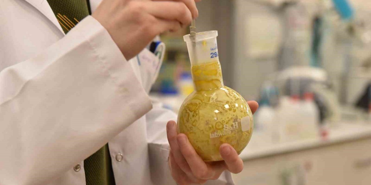 Üniversite laboratuvarlarında geliştirildi: Borlu gıda takviyeleri ile kemik erimesi önlenecek