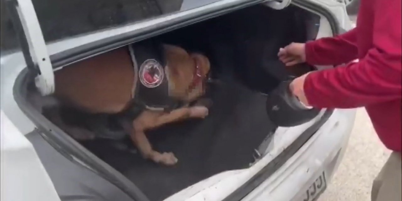 Aracın bagajına gizlenen uyuşturucu böyle bulundu