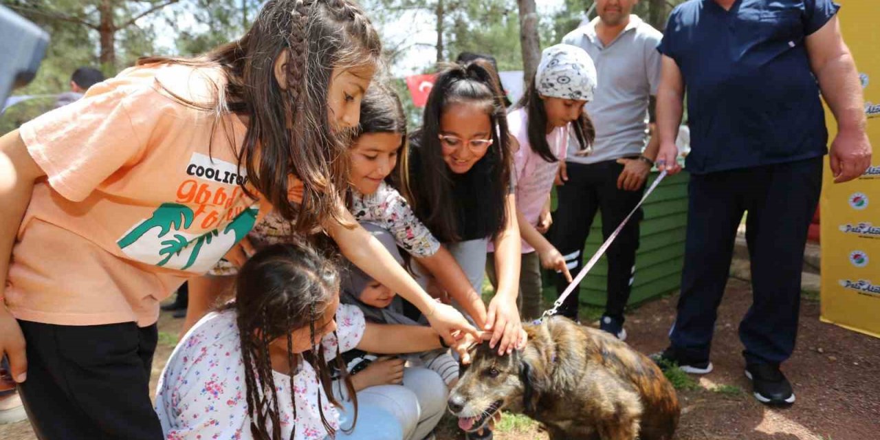 Kepez’in Pati Atölyesi’nden sokak hayvanlarına yuva