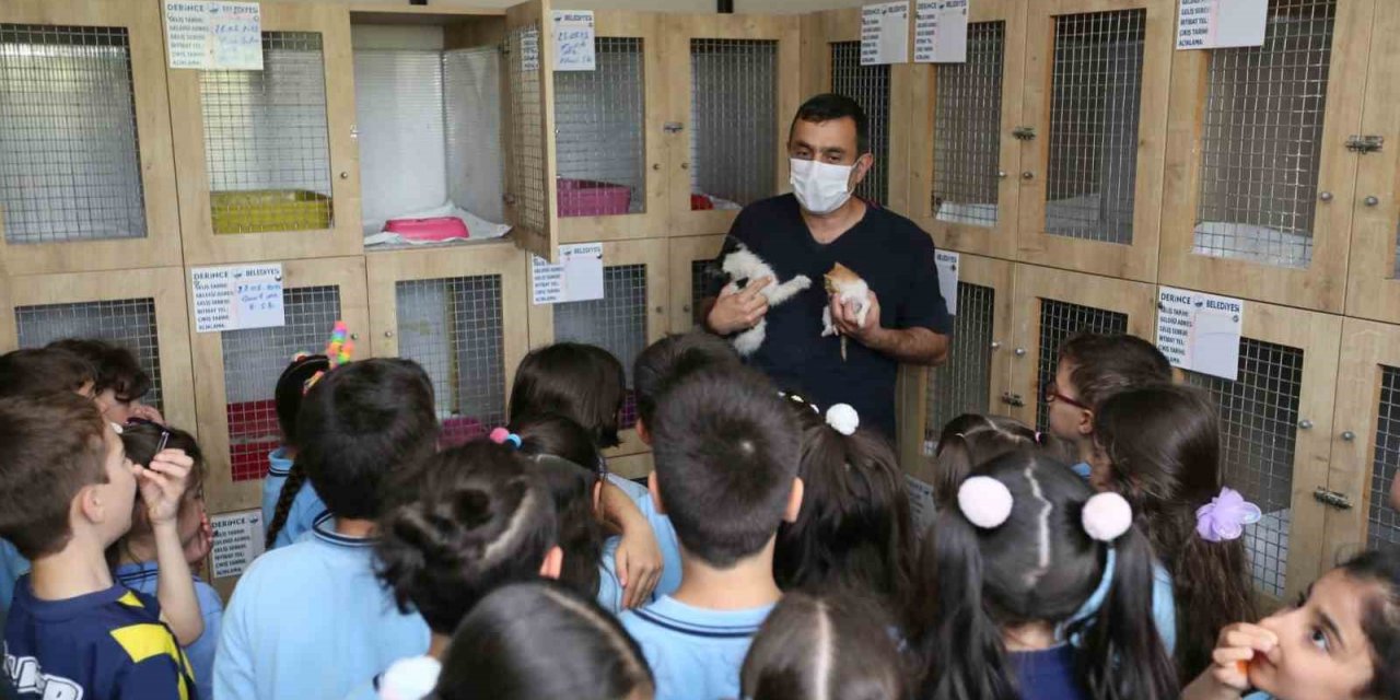 Bu merkez can dostlara ’şifa’ oluyor