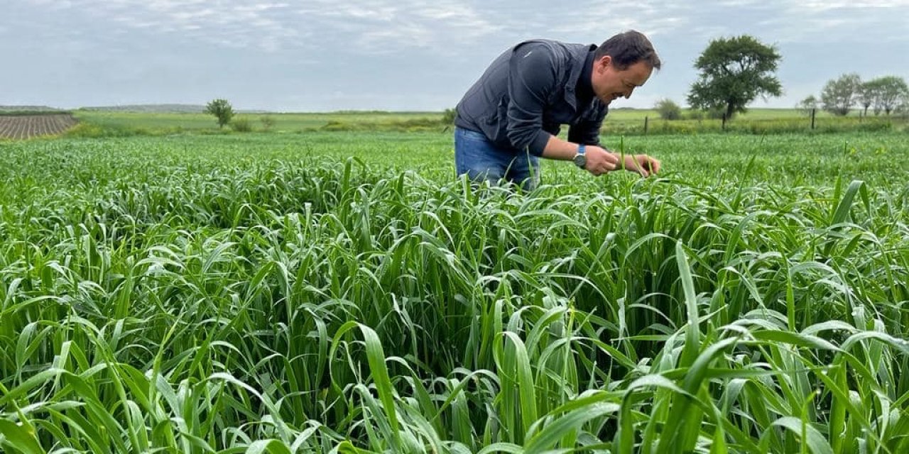 Ekili alanlarda zararlı haşerelere karşı mücadele başlatıldı