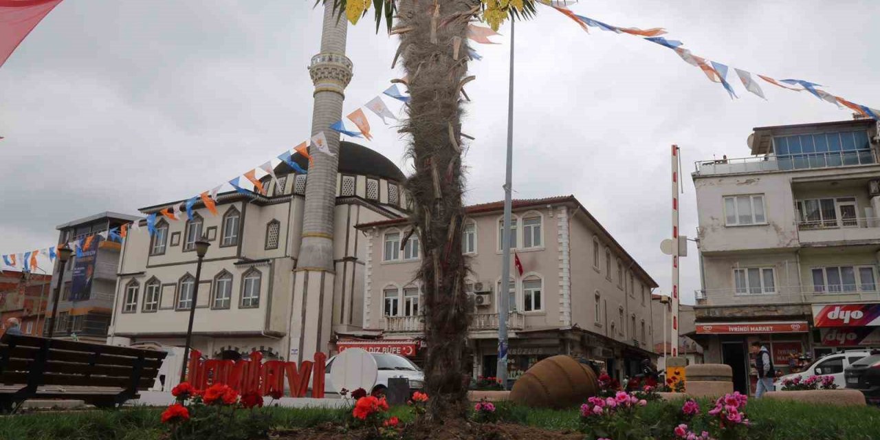 İvrindi’de çiçekler açtı