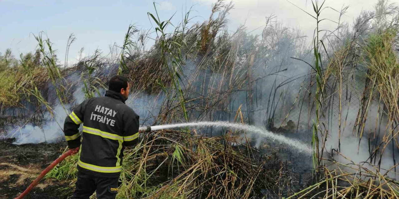 Sazlık alanda çıkan yangın söndürüldü