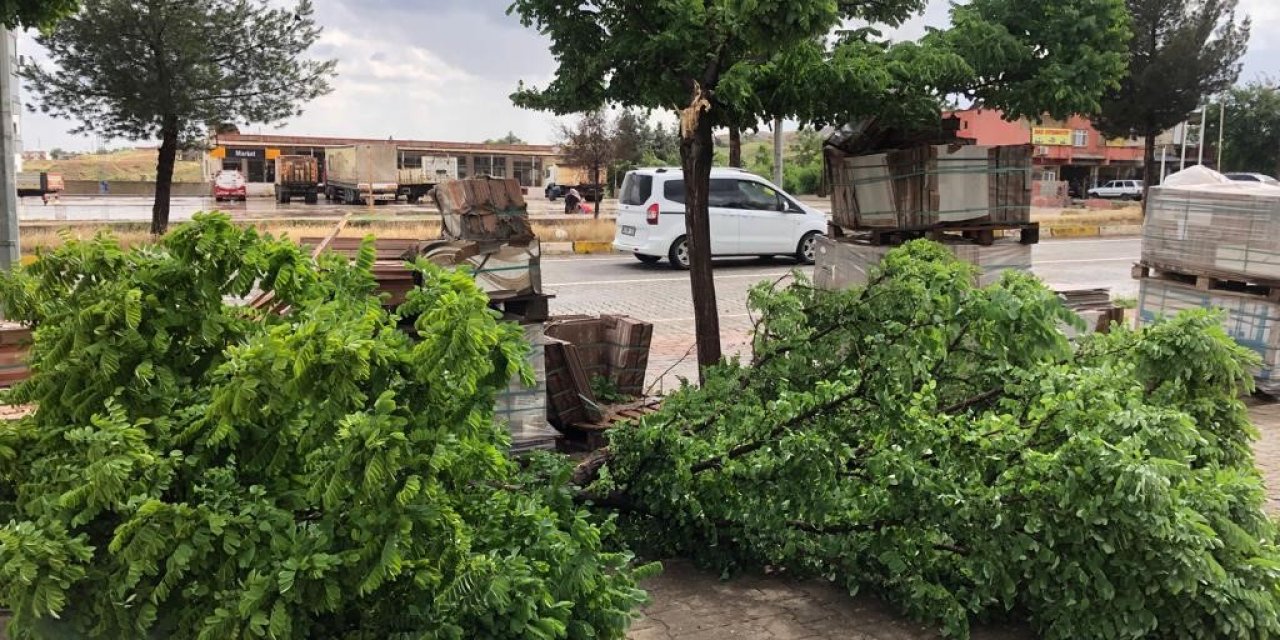 Kozluk’ta sağanak nedeniyle dereler taştı, ağaçlar devrildi