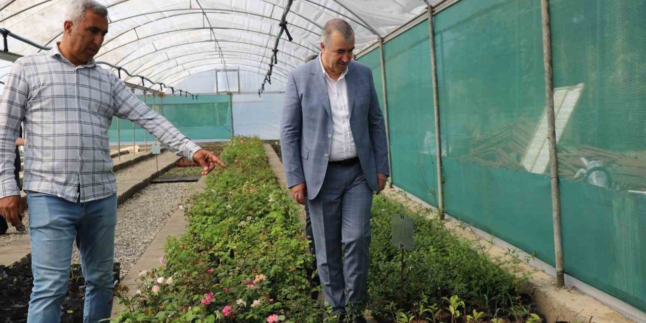 Kahta’da çiçek serası kuruldu