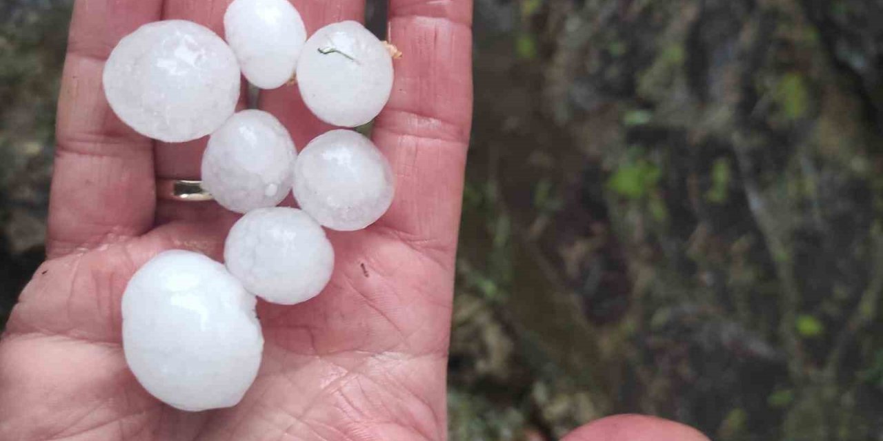 Malatya’da ceviz büyüklüğünde dolu yağdı
