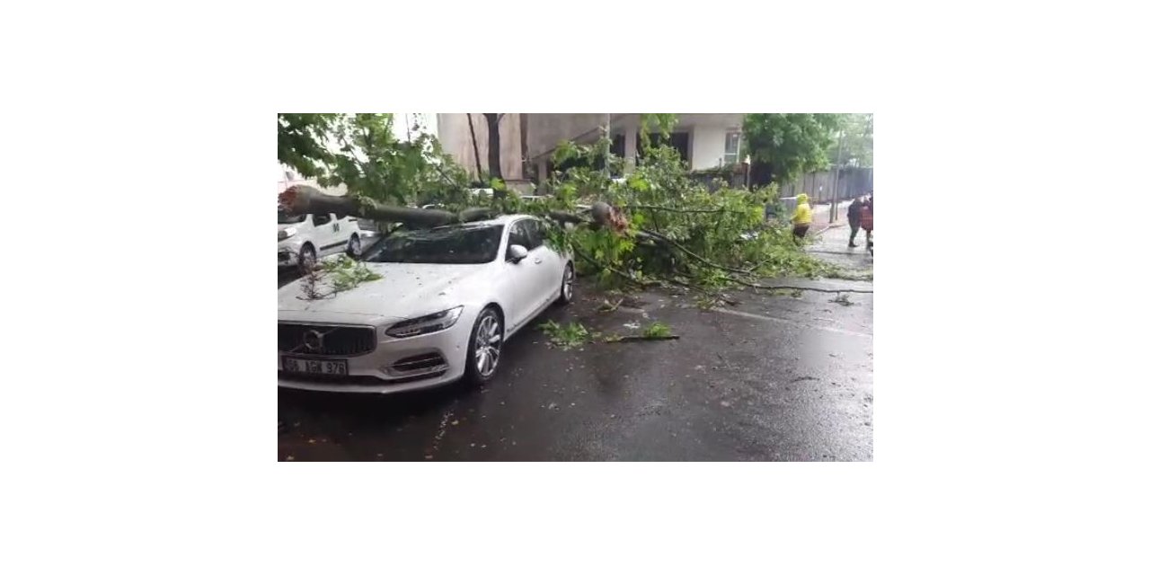 Ankara’da 3 aracın üzerine ağaç devrildi