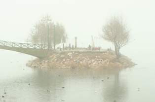 Beyşehir sise teslim