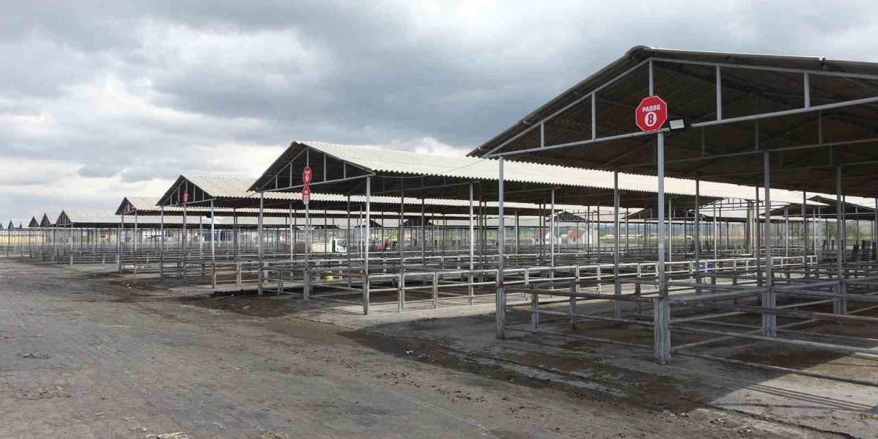 Kurban Bayram’ı öncesi Sivas’ta tüm hayvan pazarları kapatıldı