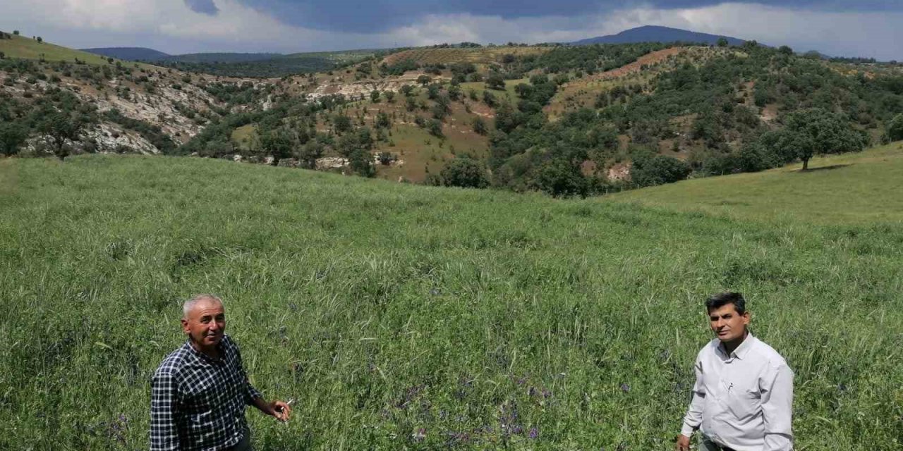 Çiftçiler, büyükşehirin projesinden yüksek verim aldı