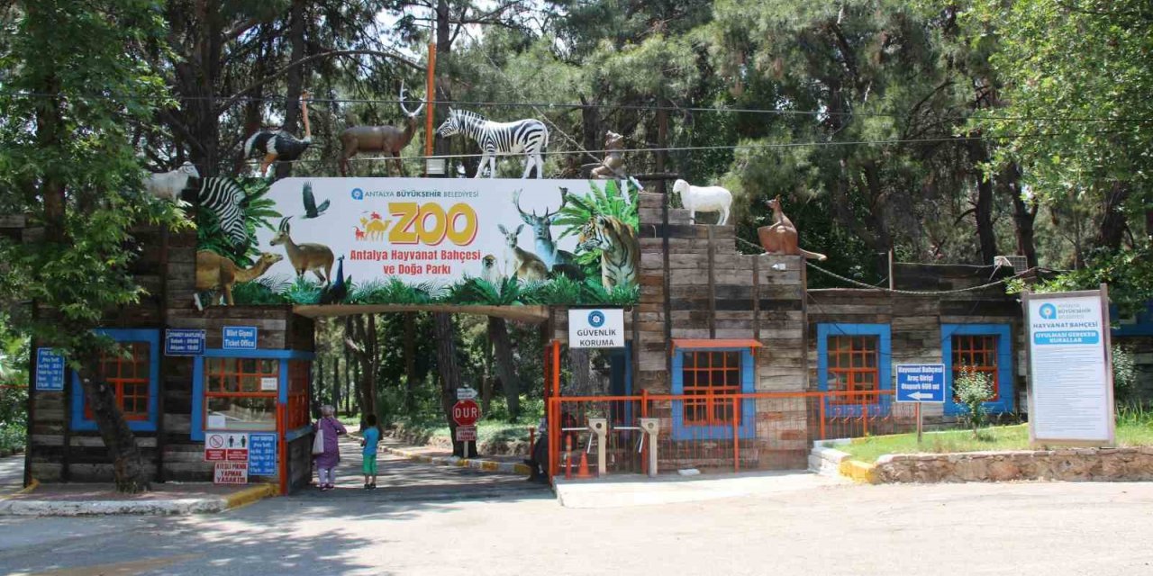 Antalya, ‘Hayvanat Bahçeleri’ toplantısına ev sahipliği yapacak