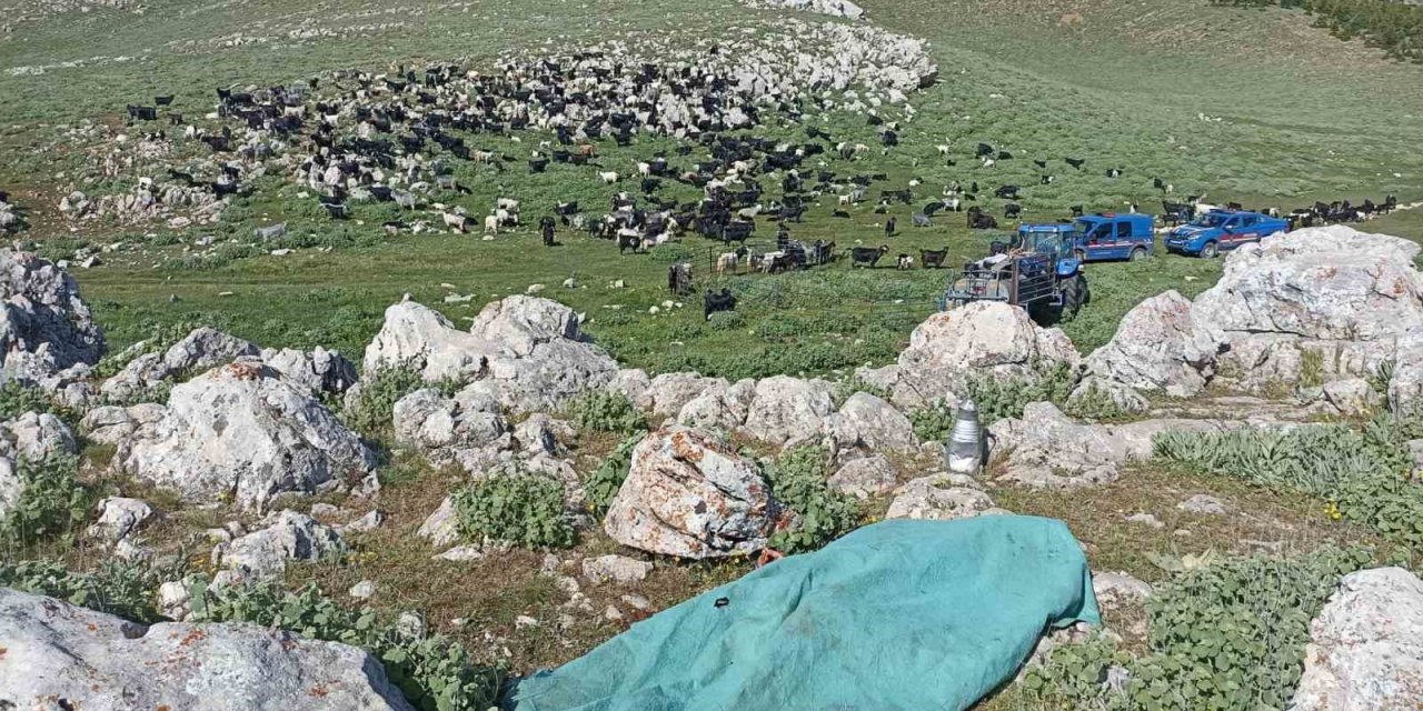 Karaman’da bir kadın eşi ve kendisini darp eden kayınbiraderini bıçaklayarak öldürdü