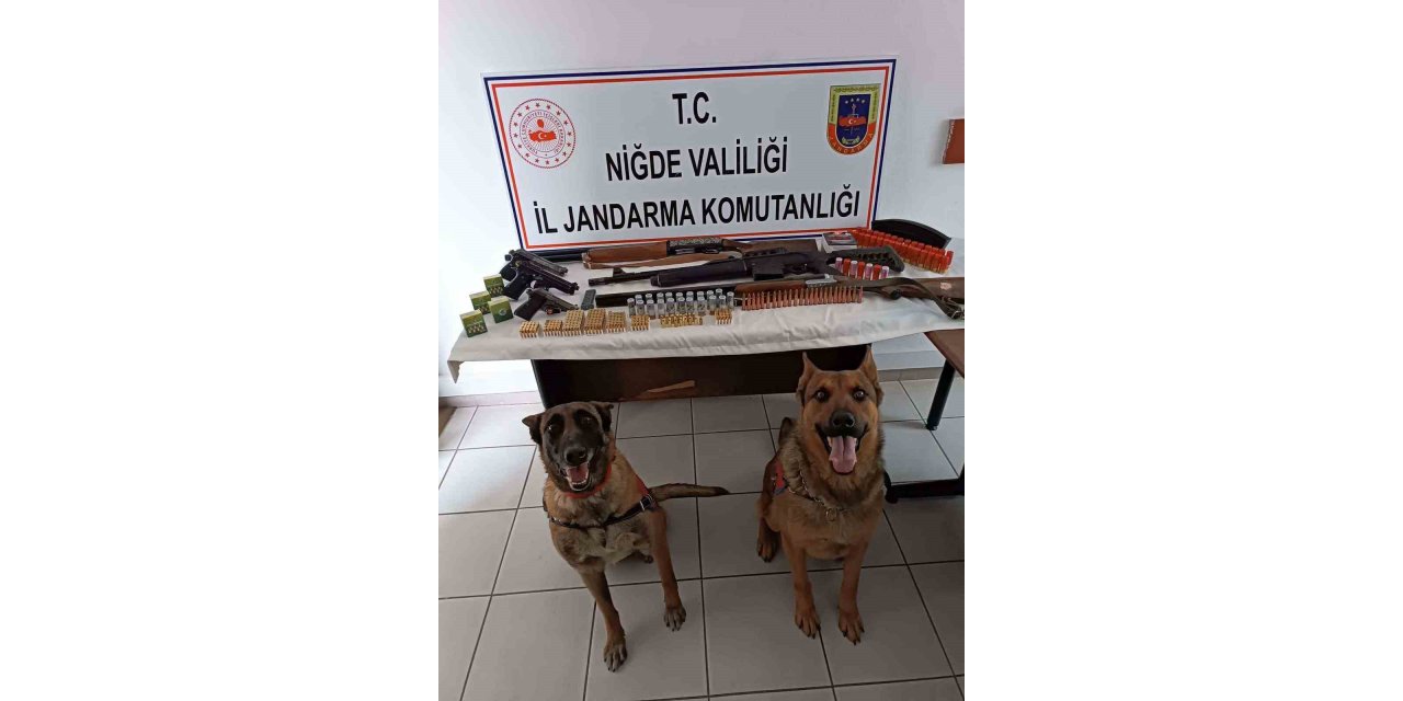 Jandarmadan ruhsatsız tabanca ve tüfek operasyonu