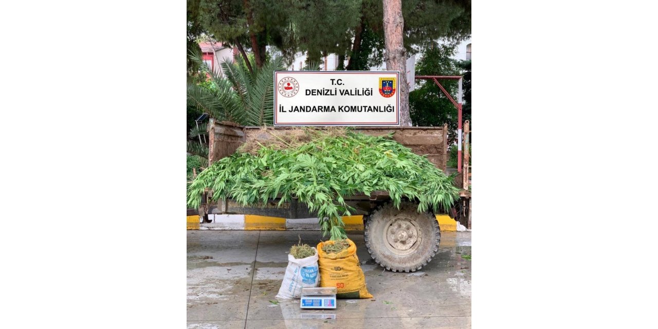 Sarayköy’de 13 kilo esrar, 1300 kök kenevir yakalandı