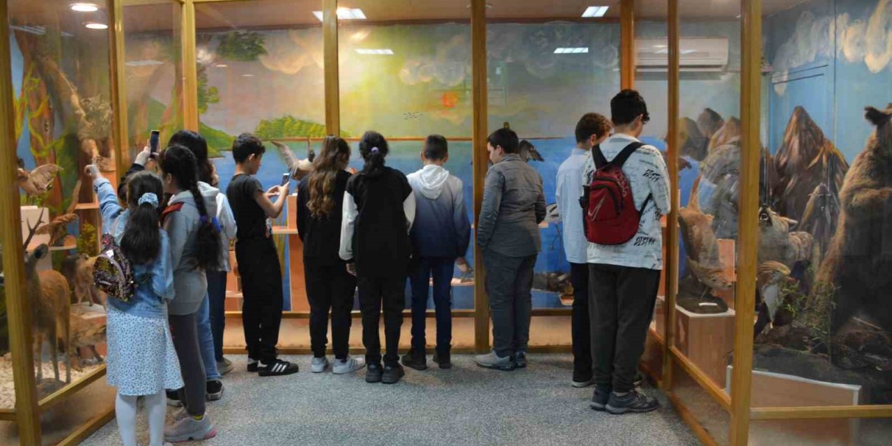 Doldurulmuş hayvan müzesi öğrencilerin ilgisini çekti
