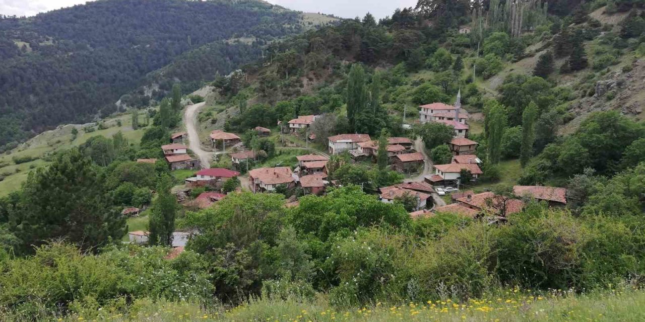 Bu köyde sandıktaki tüm oylar Cumhurbaşkanı Erdoğan’a çıktı