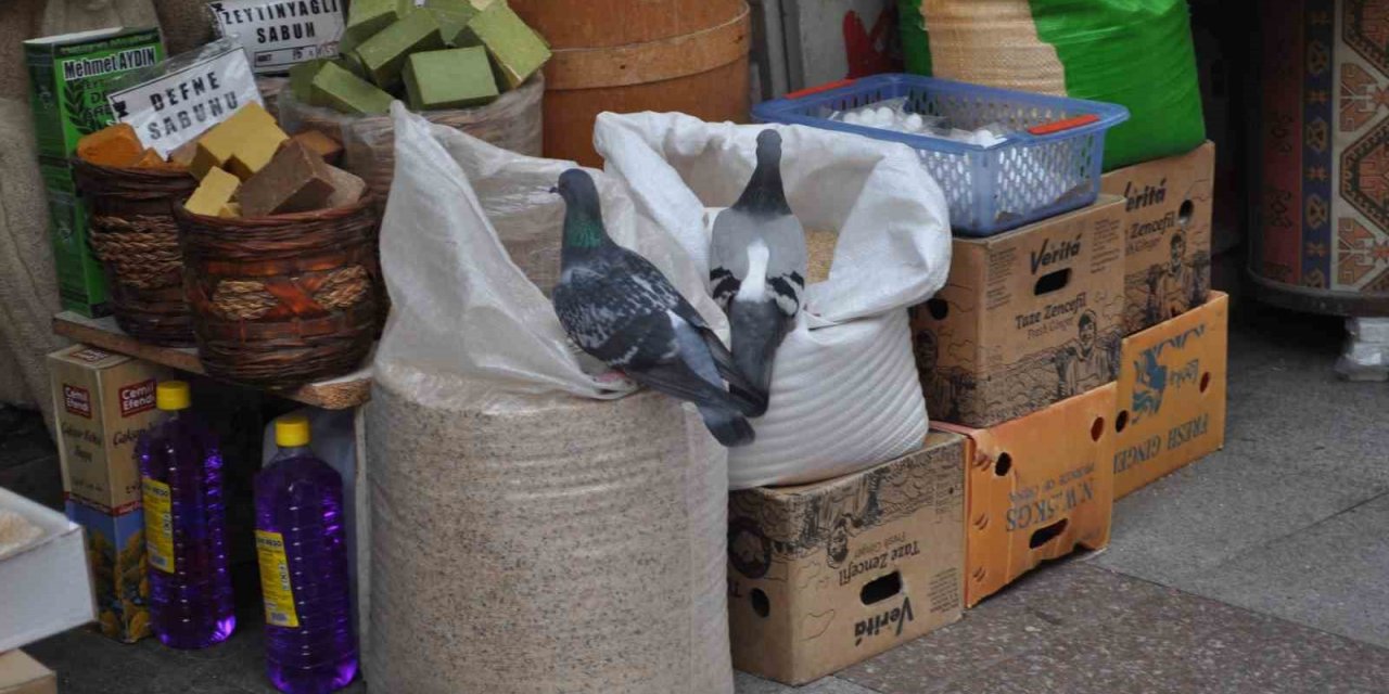 Fırsattan istifade eden güvercinler karınlarını doyurdu