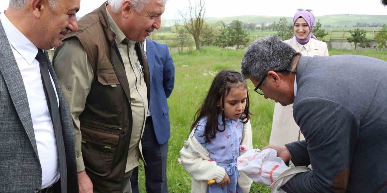 Öğrenciler hiç görmedikleri böcekleri aparatlarla topladı