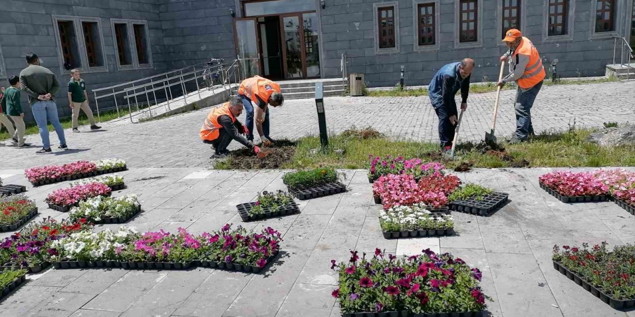 Kars’ta park ve bahçeler çiçek açıyor