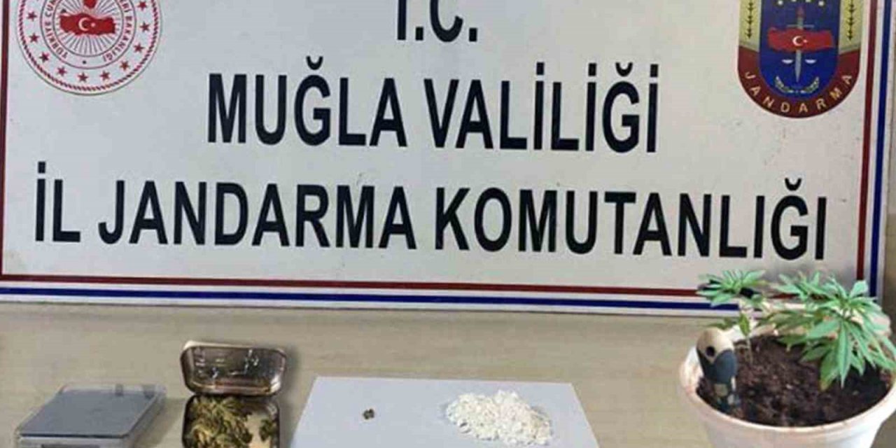 Jandarmadan Muğla genelinde uyuşturucu operasyonu