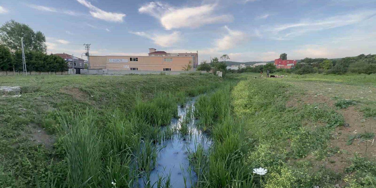 Arnavutköy’de iddiaya göre fabrikalardan atılan kimyasal madde derenin rengini değiştirdi