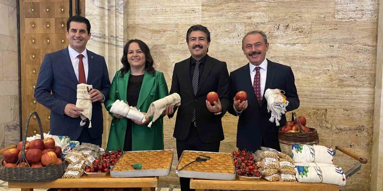 AK Partili vekiller, Meclis kaydına Denizli’nin değerleriyle gitti