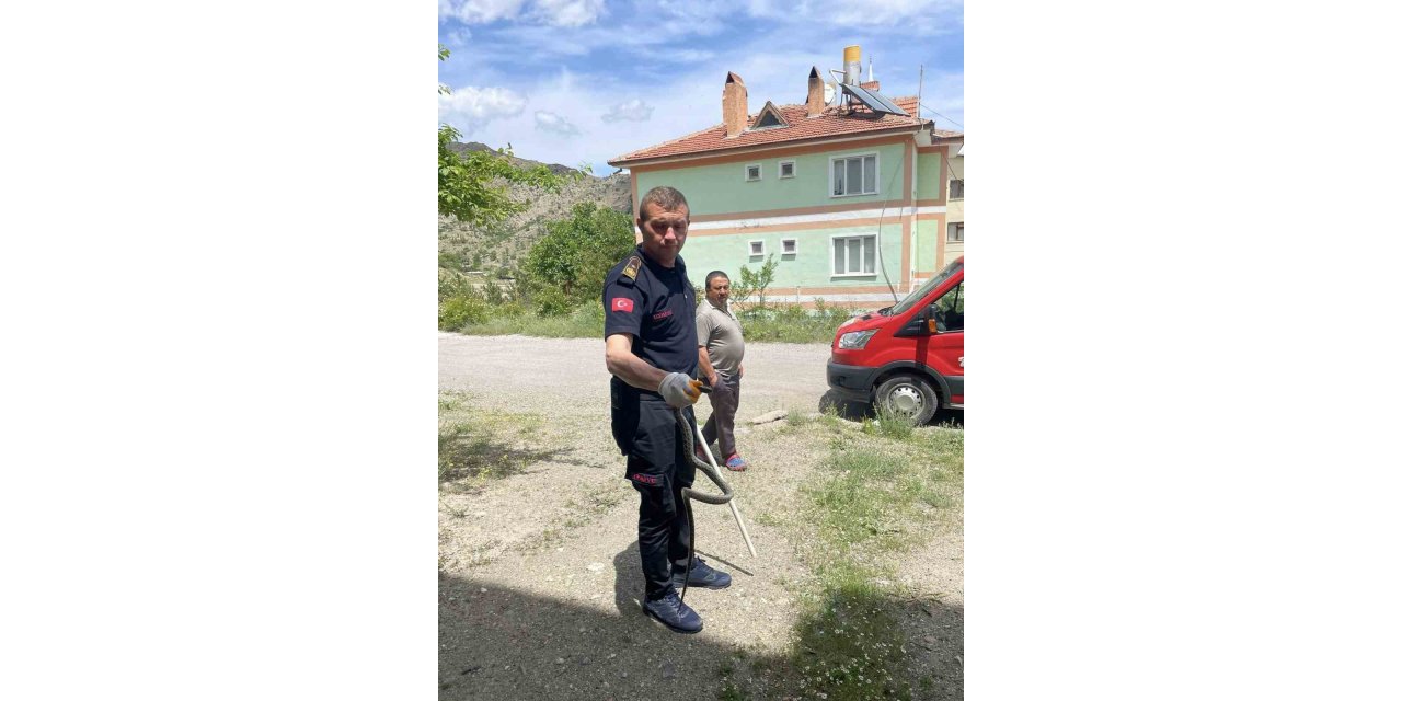 Apartmana giren yılanı itfaiye ekipleri yakaladı