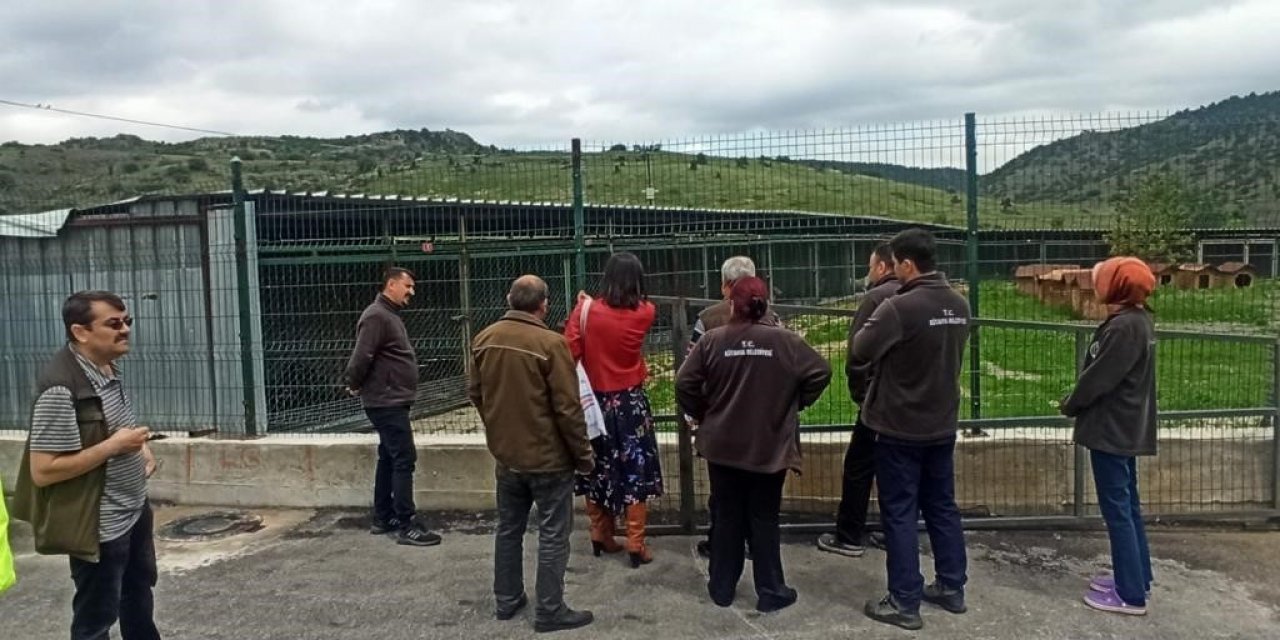 Kütahya Belediyesi Sokak Hayvanları Bakım Evi denetlendi