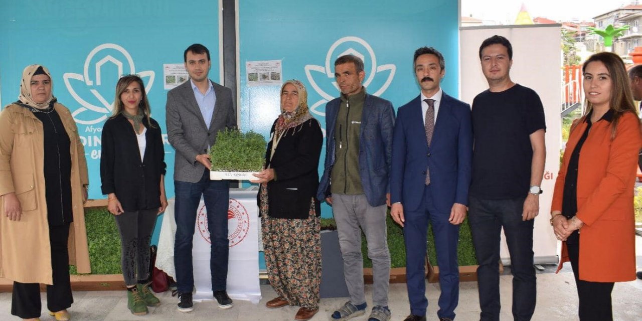 Kadınlara ücretsiz kekik fidesi dağıtıldı