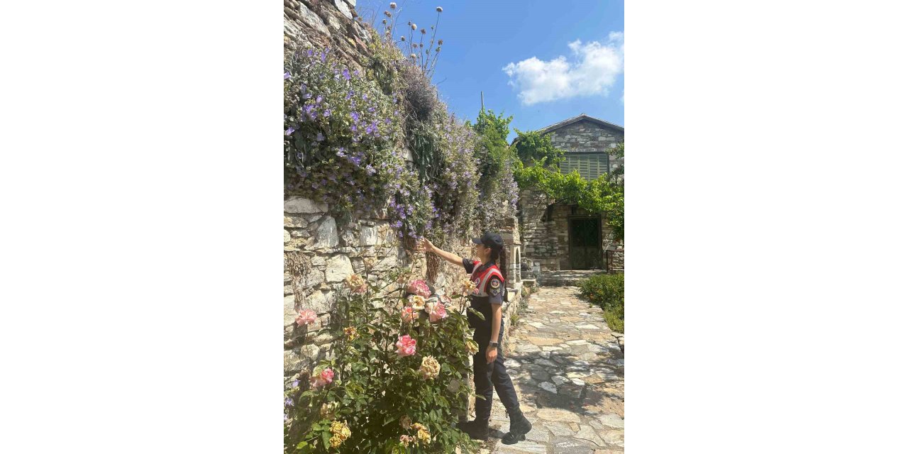 Jandarmadan endemik bitki nöbeti