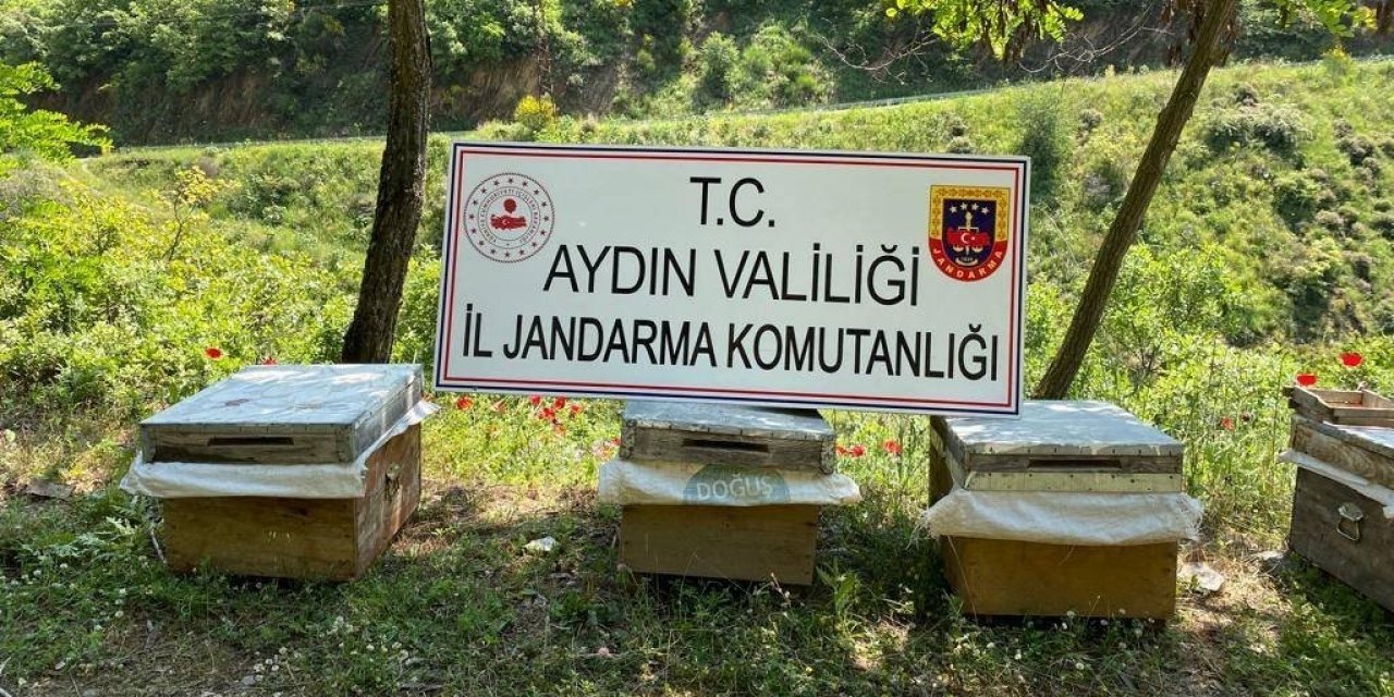 Arı kovanı hırsızları yakalandı