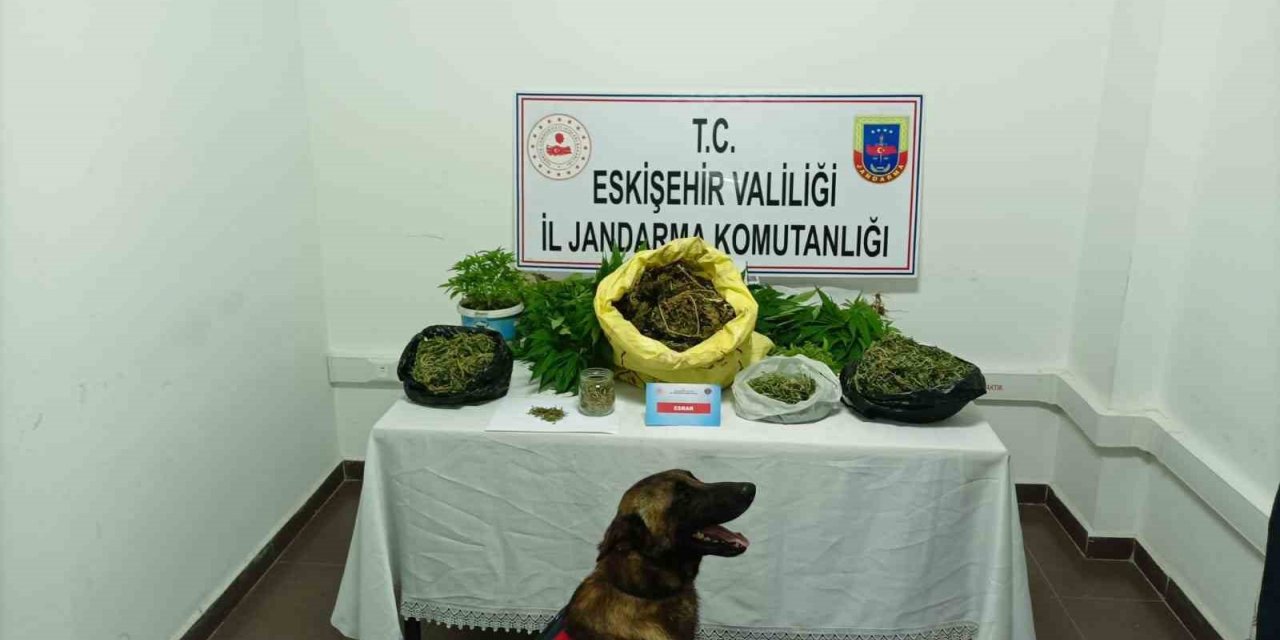 Jandarmadan uyuşturucu operasyonu