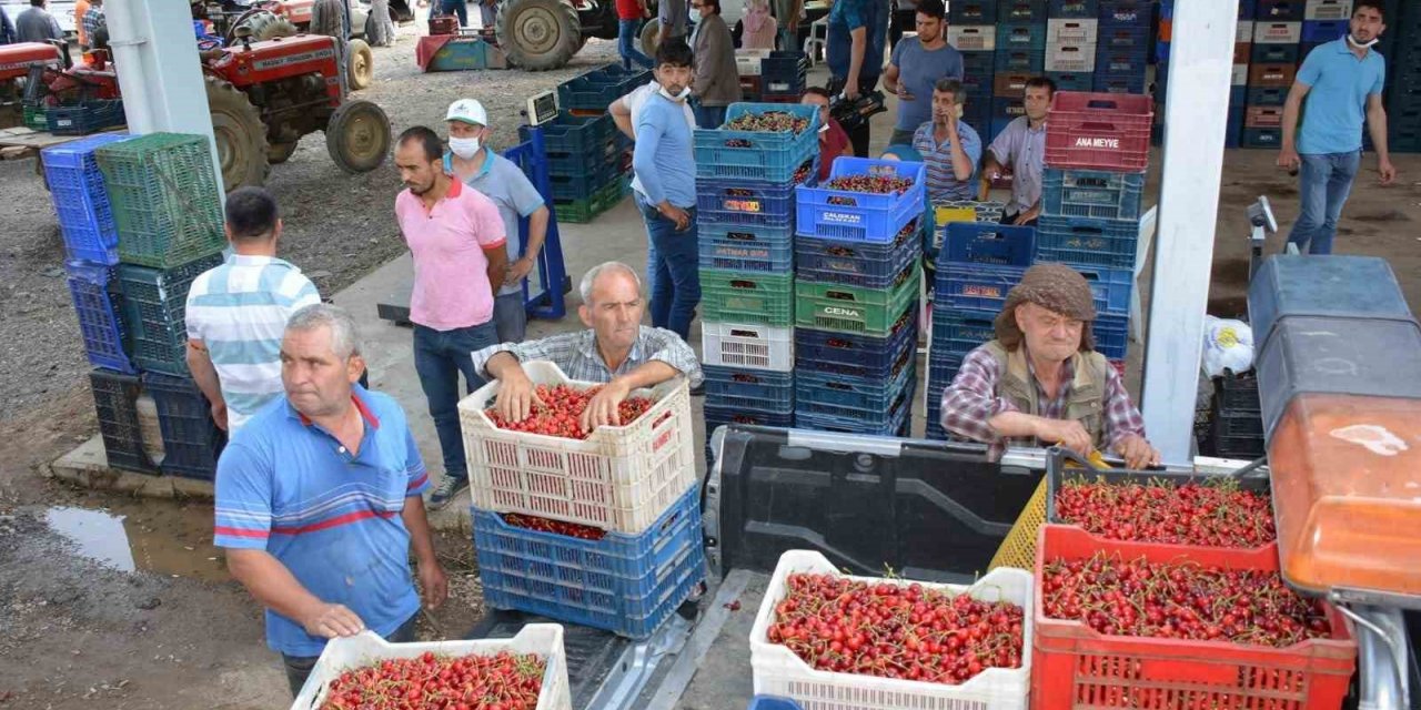 Yaylalarda erik ve kiraz hasadı başladı, Mendegüme ticaret merkezi oldu