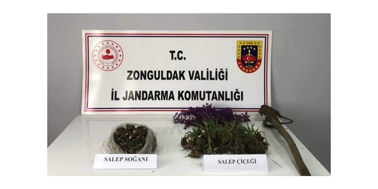 Salep soğanı toplayanlara 2 milyon lira ceza