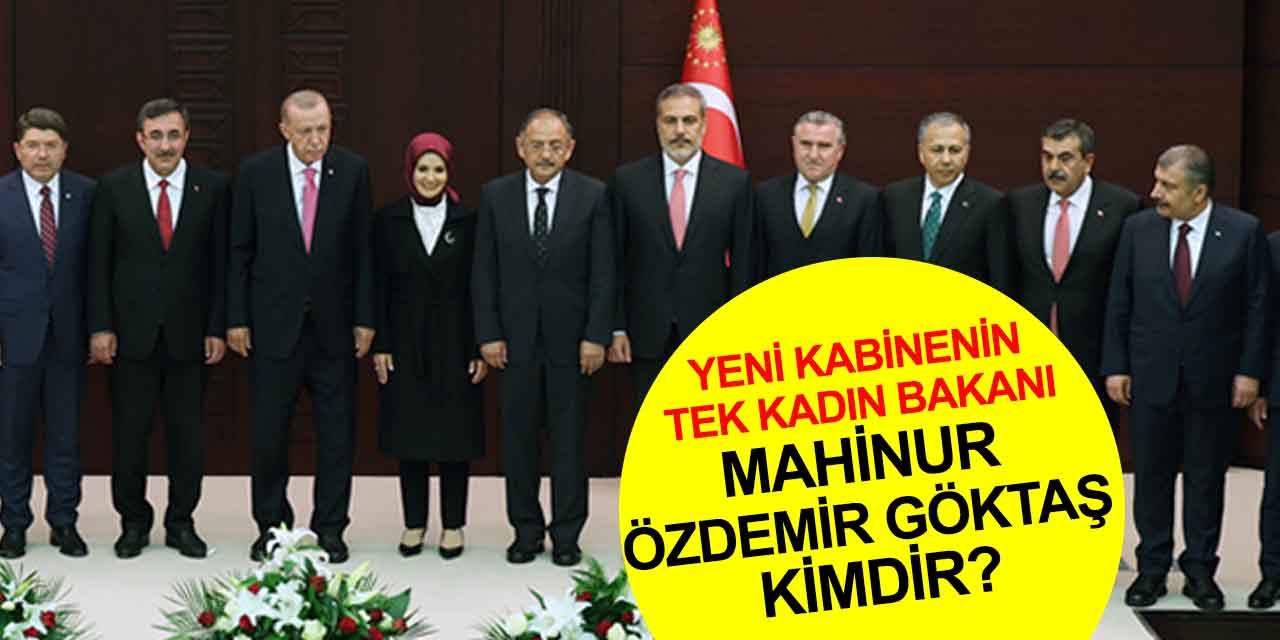 Yeni Aile ve Sosyal Hizmetler Bakanı Mahinur Özdemir Göktaş kimdir?