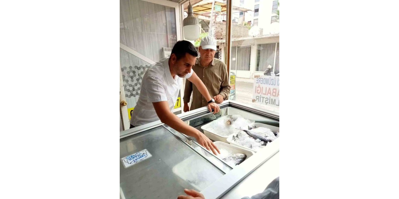 Serik’te balık satan iş yerleri denetlendi