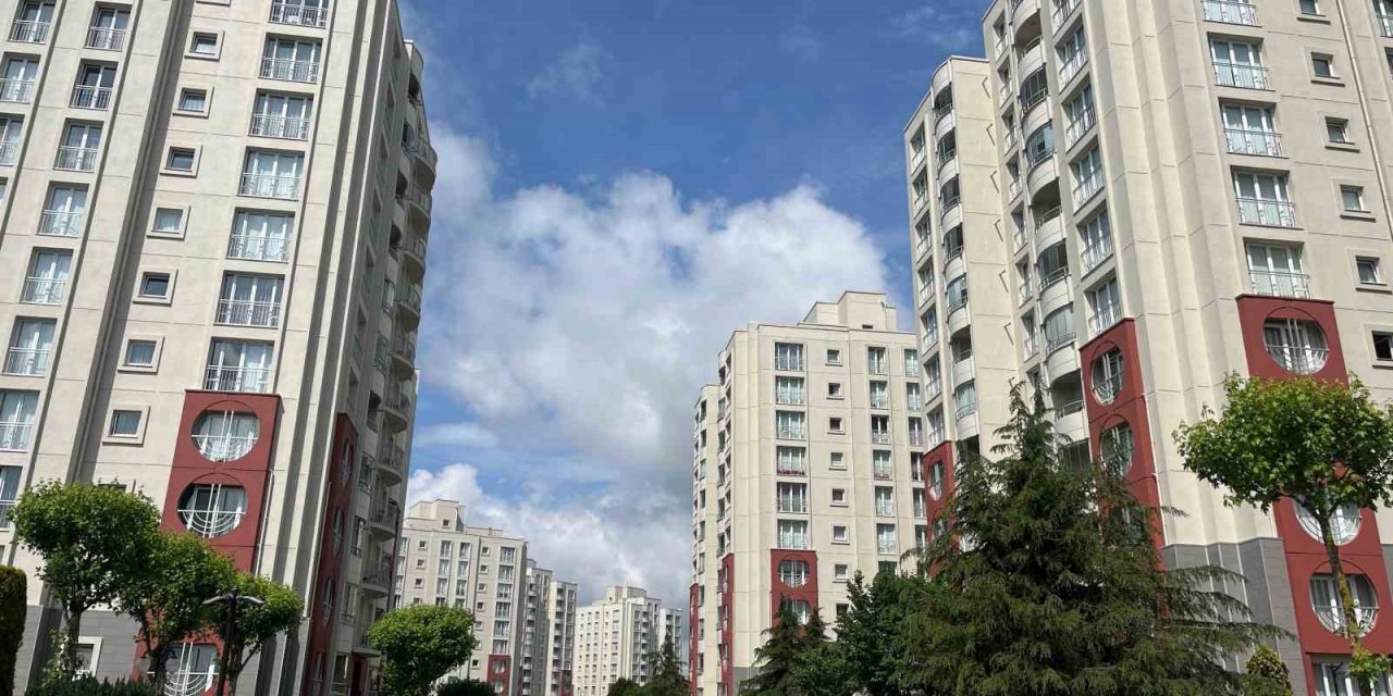 Başakşehir’de site yönetiminin kedileri toplayarak boş araziye attığı iddiası tepkiye neden oldu