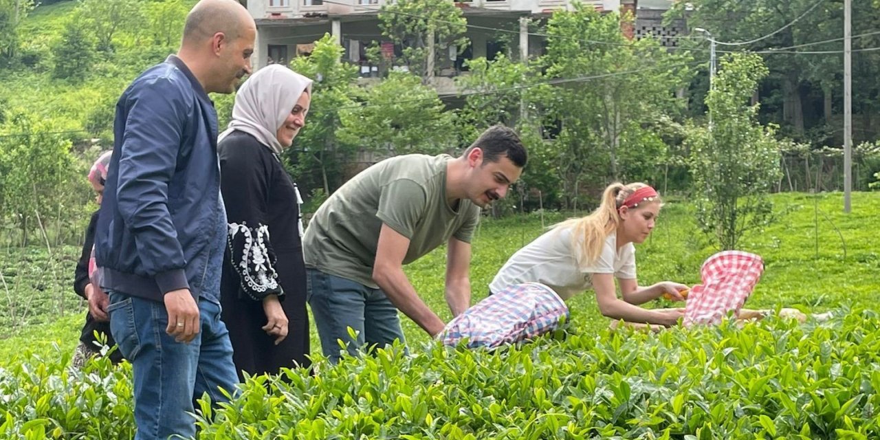 İkizdere Kaymakamı eşiyle çay topladı, fabrikada çayın işlenmesini inceledi