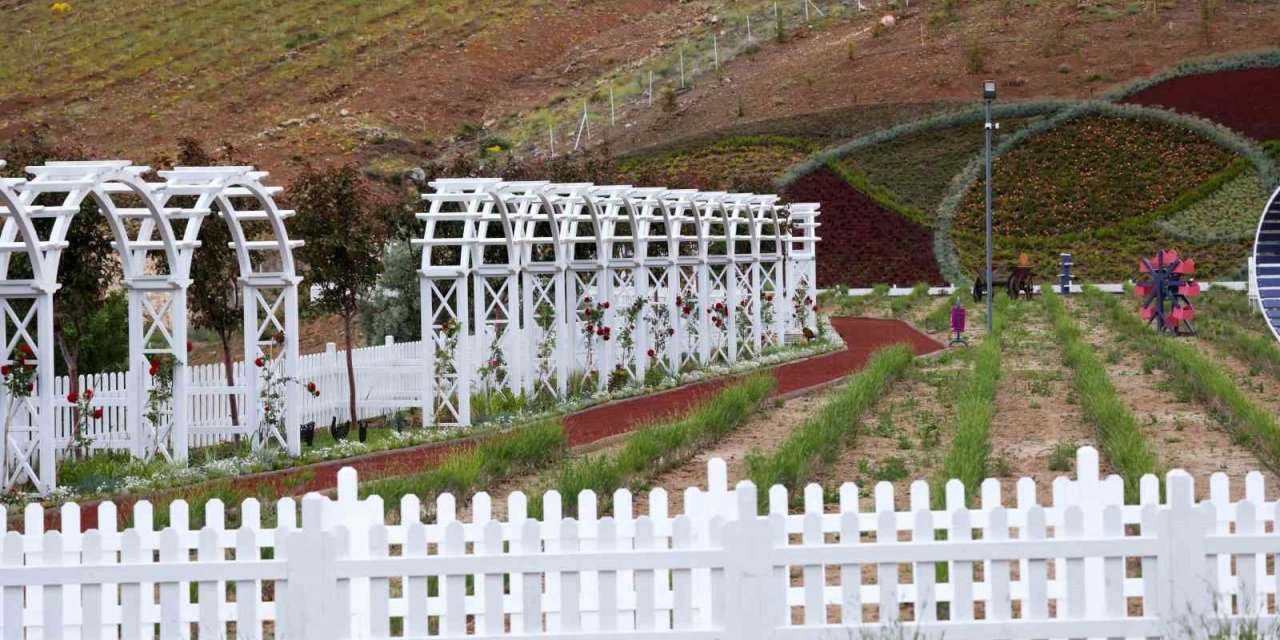 Konya'ya yeni bir cazibe merkezi daha! Meram Lavanta Bahçesi açılış için gün sayıyor