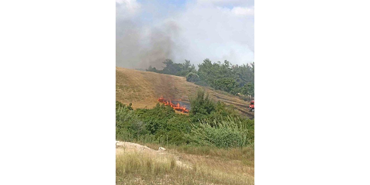 Adana’da anız yangını ağaçlara sıçradı