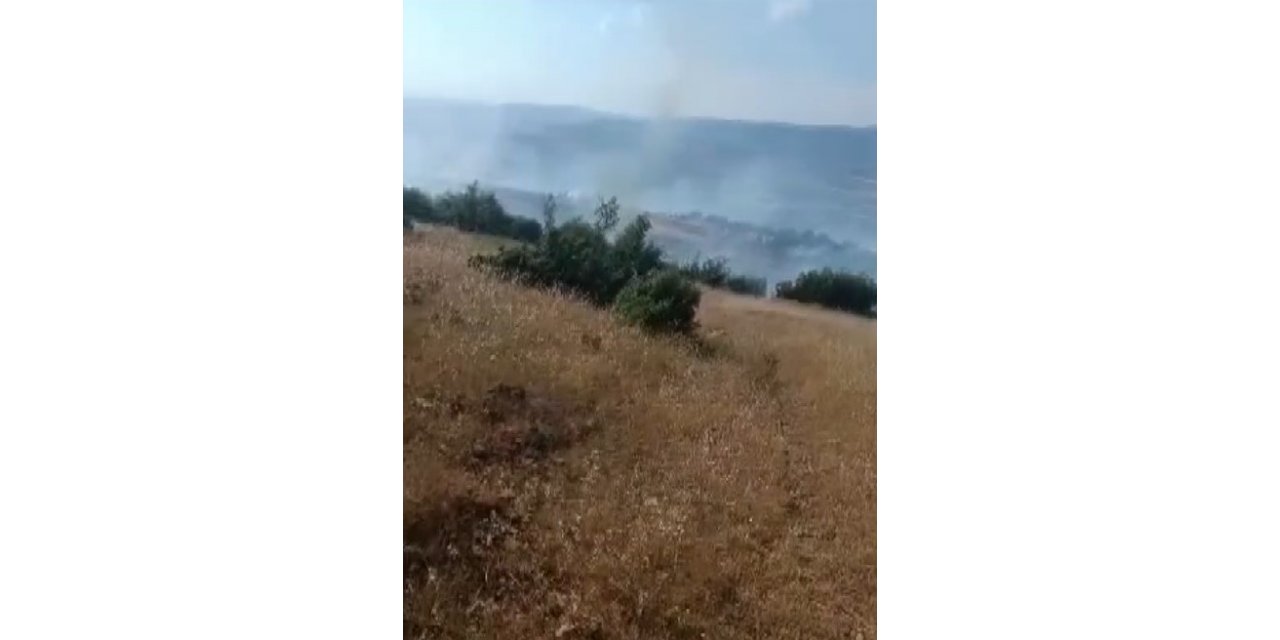 Kilis’te orman ve örtü yangını