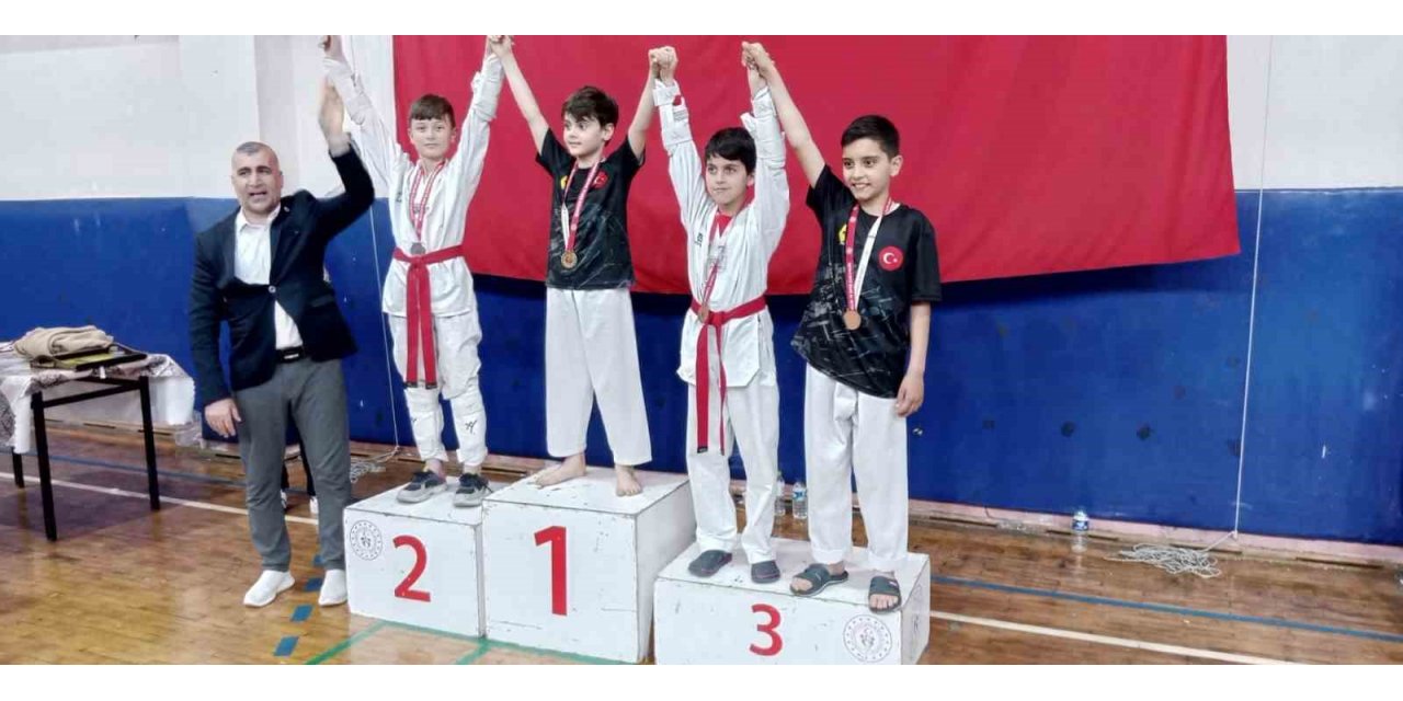 Taekwondo şampiyonasına Alaplı damgası