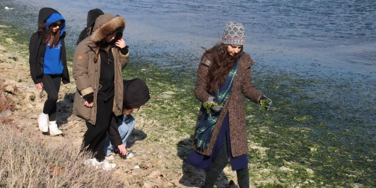 "Deniz marulundan ambalaj" projesine birincilik ödülü