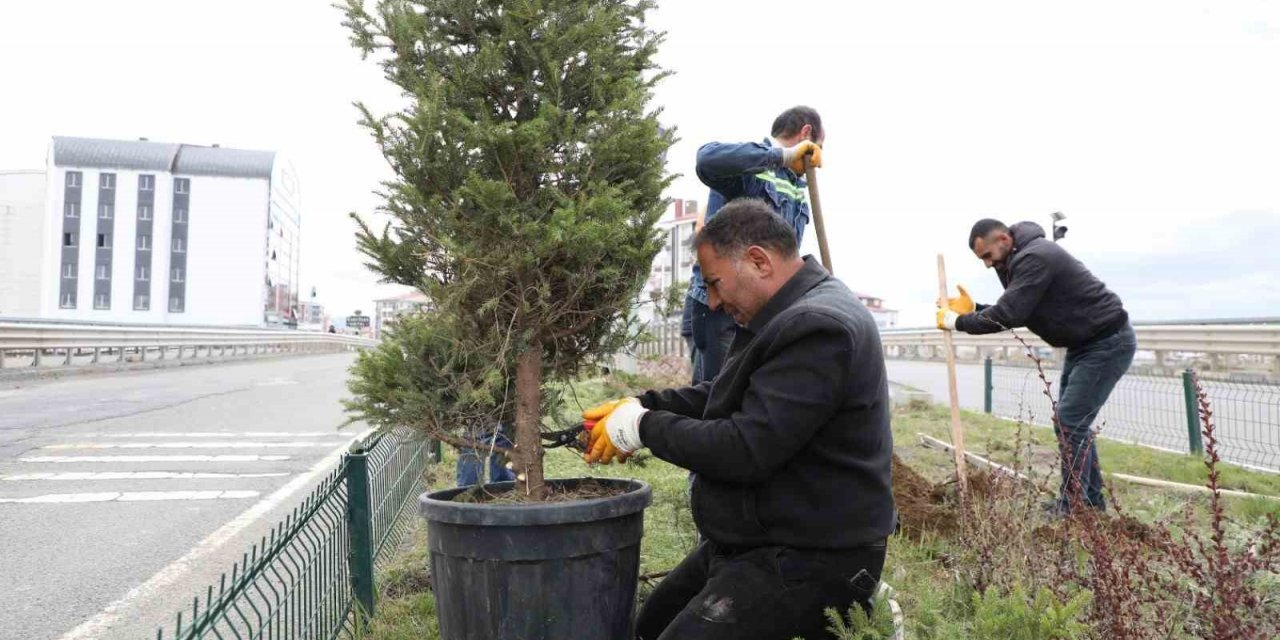 Kars’ta refüjler yeşilleniyor