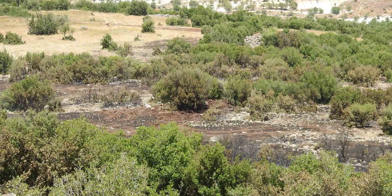 Kilis’teki orman yangınında 20 dönüm arazi kül oldu